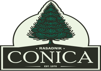 Rasadnik Conica Logo